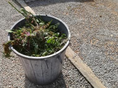 Llucmajor es prepara per Tots Sants	