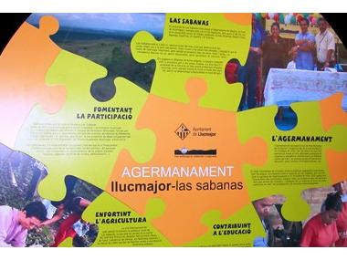 Trobada per a l'organització de la VI Setmana Solidària. Comissió d'agermanament Llucmajor-Las Sabanas