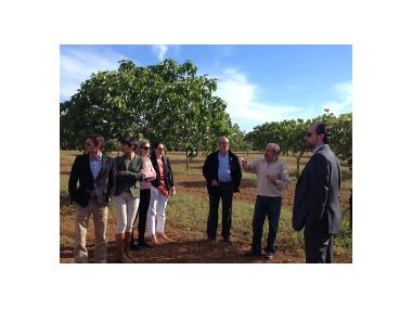 Una representació del Govern Balear visita Son Mut Una representació del Govern Balear visita Son Mut