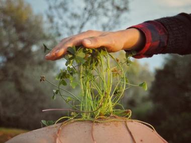 Fotos guanyadores del concurs de fotografia del Dia de la dona 2016