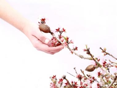 Fotos guanyadores del concurs de fotografia del Dia de la dona 2016