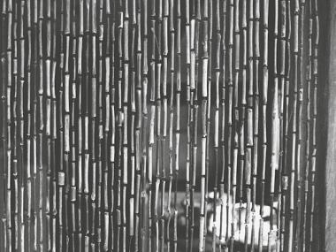 Festes d'estiu 2016. Juliol