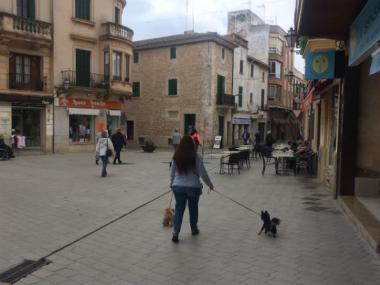 La Policia Local posa 103 denuncies en dues setmanes en la campanya de control d'animals
