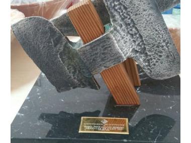 Bases de la convocatòria dels premis Arenaler de l'Any