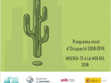 Obert el termini per a presentar-se als programes mixtos d'ocupació i formació de l'Ajuntament de Llucmajor