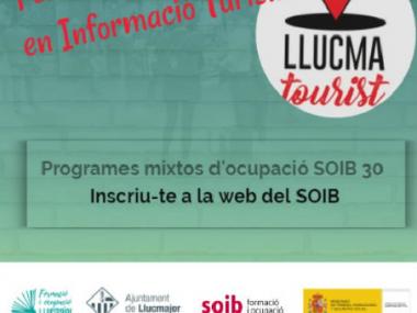 Obert el termini per a presentar-se als programes mixtos d'ocupació i formació de l'Ajuntament de Llucmajor