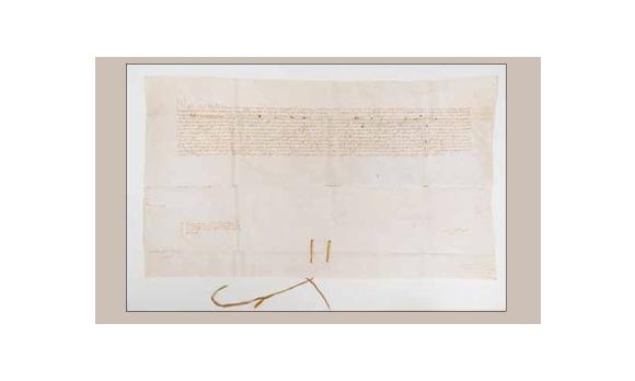 passejada pels nostres arxius