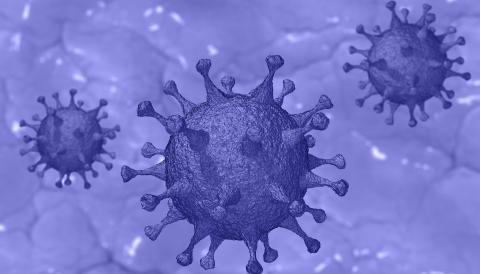 Coronavirus 