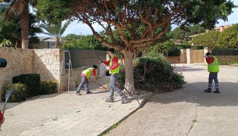 SOIB Jove Formació i Ocupació