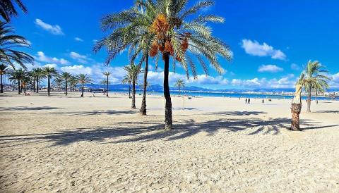 platges de Llucmajor 