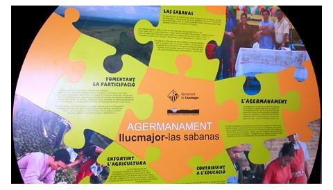 Trobada per a l'organització de la VI Setmana Solidària. Comissió d'agermanament Llucmajor-Las Sabanas