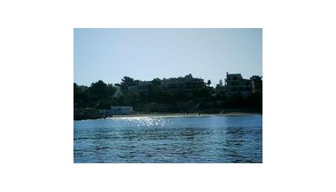 Participa en la neteja popular del Caló de Sant Antoni dia 24 de març de 2013 Participa en la neteja popular del Caló de Sant Antoni dia 24 de març de 2013