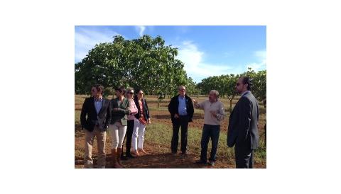 Una representació del Govern Balear visita Son Mut Una representació del Govern Balear visita Son Mut