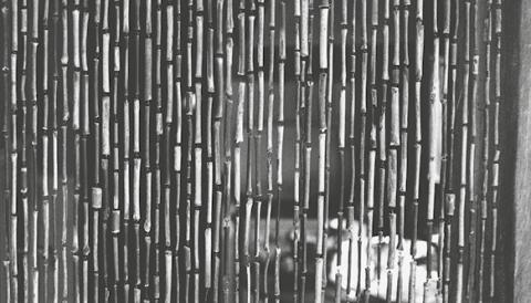 Festes d'estiu 2016. Juliol