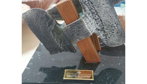 Bases de la convocatòria dels premis Arenaler de l'Any