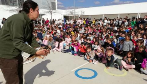 Medi Ambient informa als ajuntaments on s’ubiquen les noves ZEPA que les obres menors no requeriran informe
